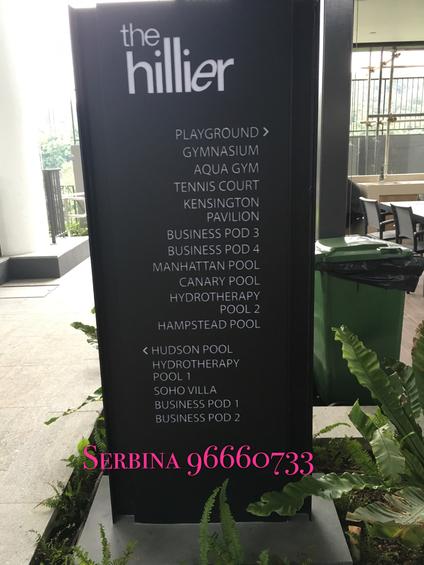 The Hillier (D23), Apartment #121755412